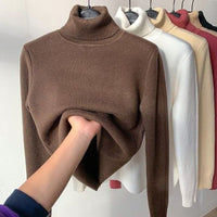 Rollkragen Winterpullover
