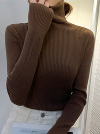 Pullover Turtle Neck Trui