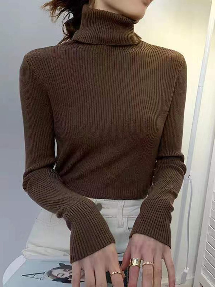 Pullover Turtle Neck Trui