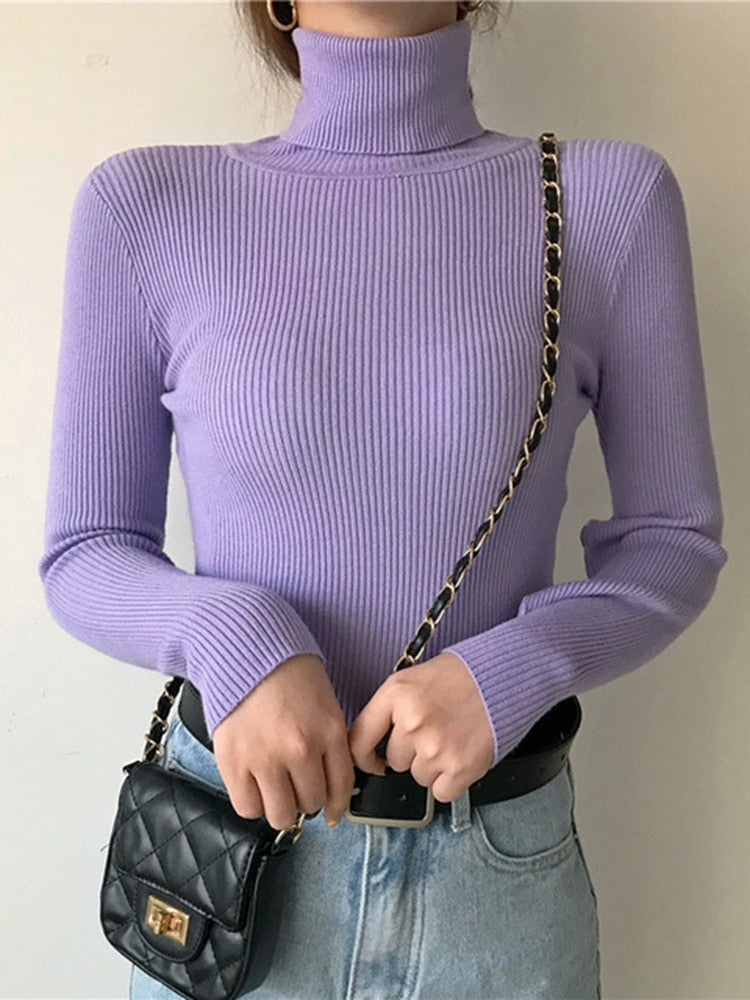 Pullover Turtle Neck Trui