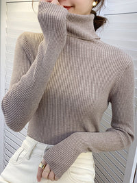 Pullover Turtle Neck Trui
