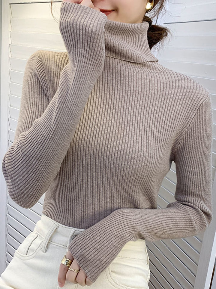 Pullover Turtle Neck Trui