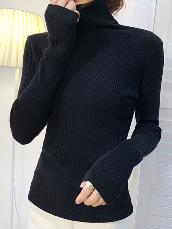 Pullover Turtle Neck Trui