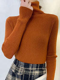 Pullover Turtle Neck Trui