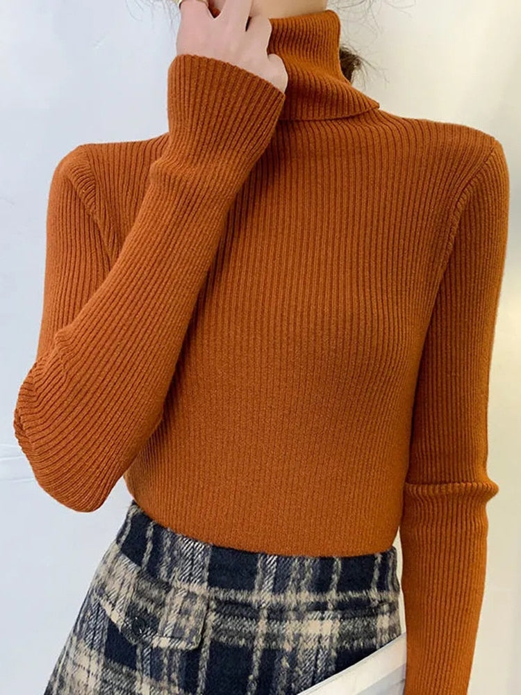 Pullover Turtle Neck Trui