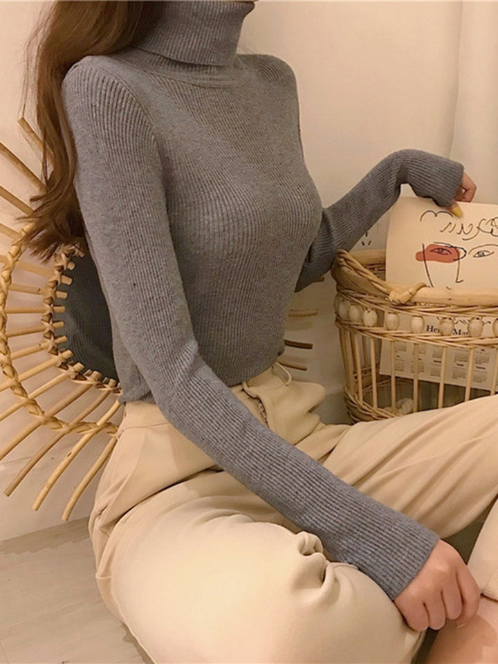 Pullover Turtle Neck Trui