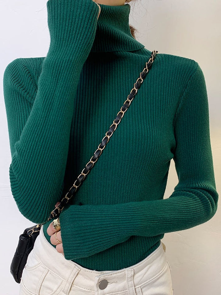 Pullover Turtle Neck Trui