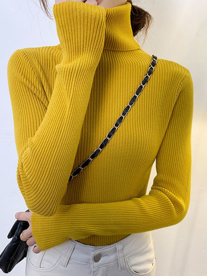 Pullover Turtle Neck Trui