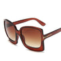 LeopardGlasses™: Damen-Sonnenbrille
